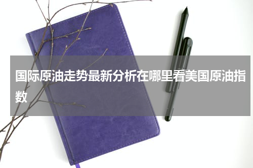 国际原油走势最新分析在哪里看美国原油指数