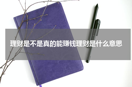 理财是不是真的能赚钱理财是什么意思