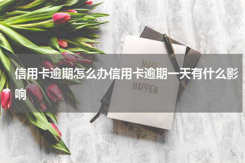 信用卡逾期怎么办信用卡逾期一天有什么影响