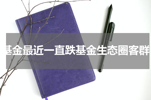 基金最近一直跌基金生态圈客群