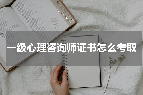 一级心理咨询师证书怎么考取