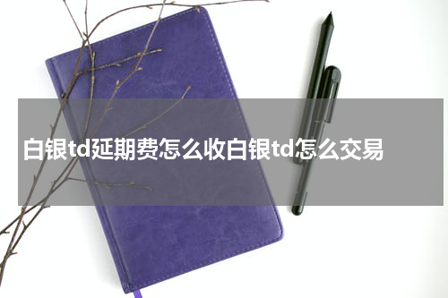 白银td延期费怎么收白银td怎么交易