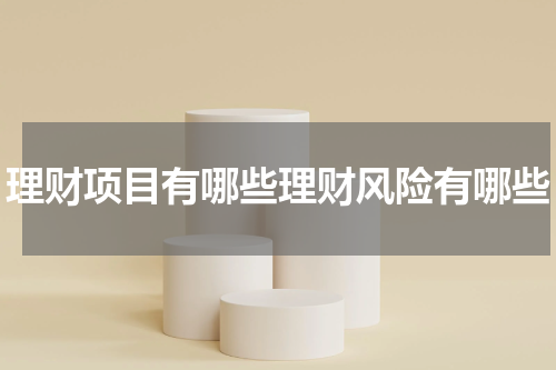 理财项目有哪些理财风险有哪些