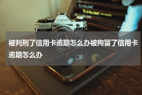 被判刑了信用卡逾期怎么办被拘留了信用卡逾期怎么办