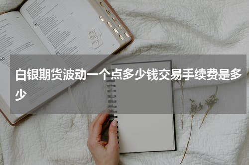 白银期货波动一个点多少钱交易手续费是多少