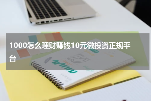 1000怎么理财赚钱10元微投资正规平台