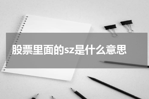 股票里面的sz是什么意思