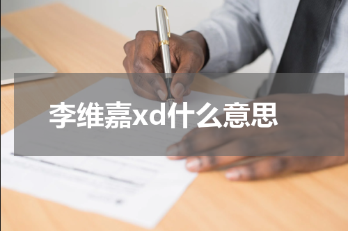 李维嘉xd什么意思