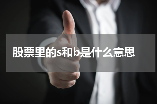 股票里的s和b是什么意思