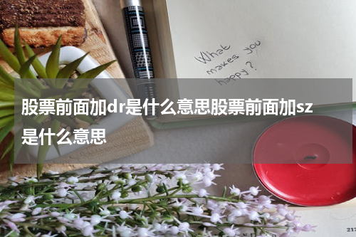 股票前面加dr是什么意思股票前面加sz是什么意思
