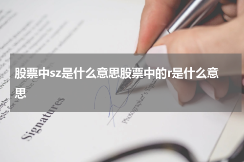 股票中sz是什么意思股票中的r是什么意思