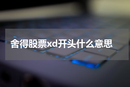 舍得股票xd开头什么意思
