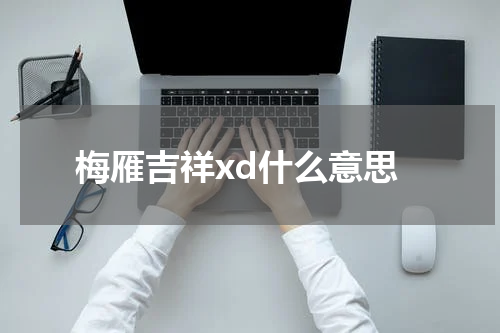 梅雁吉祥xd什么意思