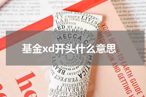 基金xd开头什么意思