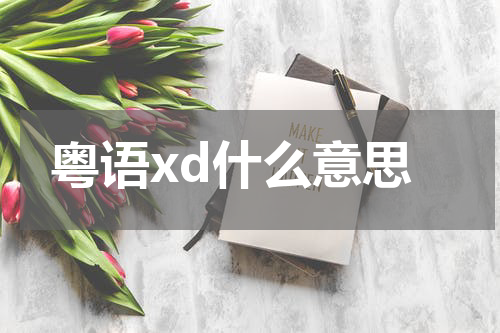 粤语xd什么意思