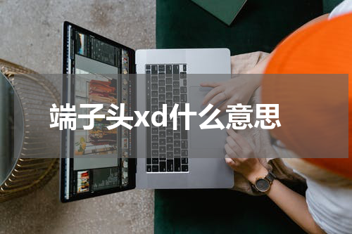 端子头xd什么意思