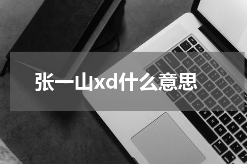 张一山xd什么意思