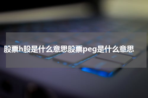 股票h股是什么意思股票peg是什么意思
