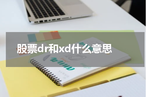 股票dr和xd什么意思