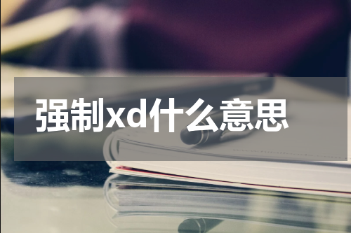 强制xd什么意思
