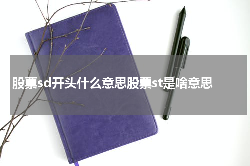 股票sd开头什么意思股票st是啥意思