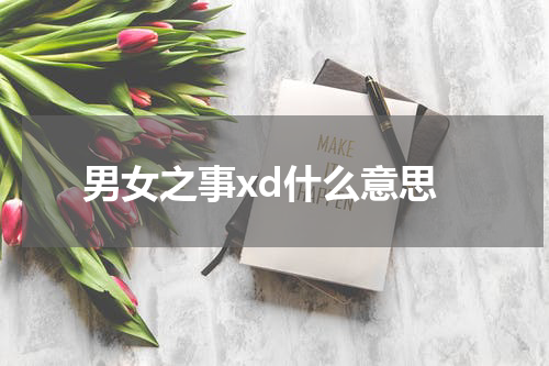 男女之事xd什么意思