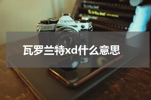瓦罗兰特xd什么意思