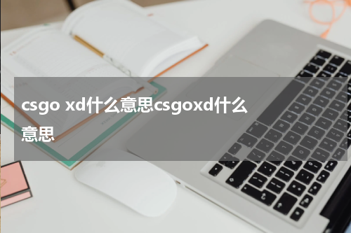 csgo xd什么意思csgoxd什么意思