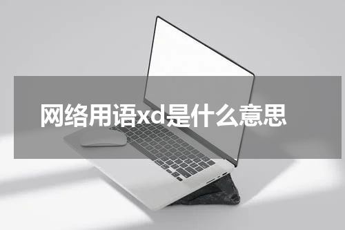 网络用语xd是什么意思