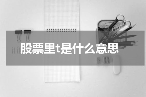 股票里t是什么意思
