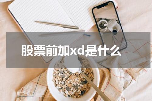 股票前加xd是什么