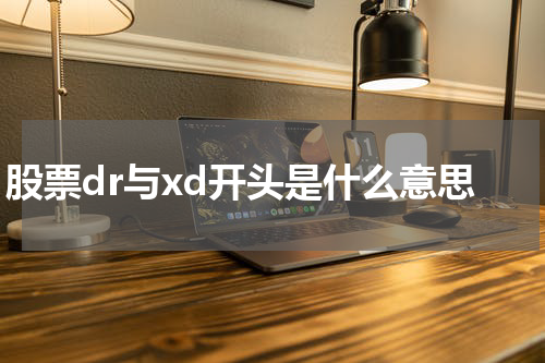 股票dr与xd开头是什么意思
