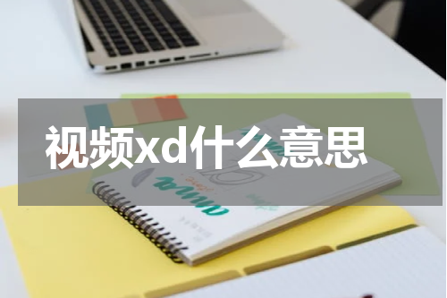 视频xd什么意思