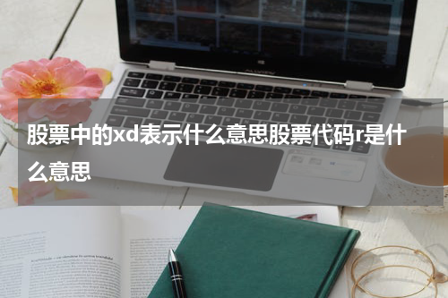 股票中的xd表示什么意思股票代码r是什么意思