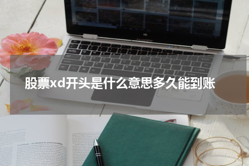 股票xd开头是什么意思多久能到账