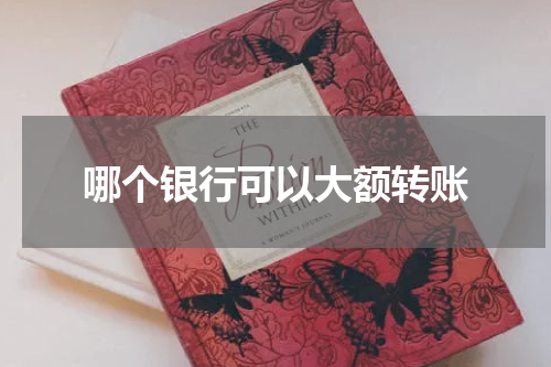 哪个银行可以大额转账