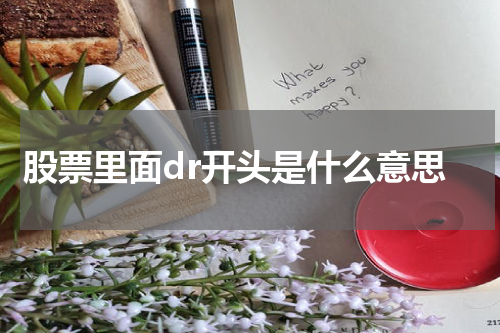 股票里面dr开头是什么意思