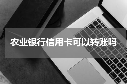 农业银行信用卡可以转账吗