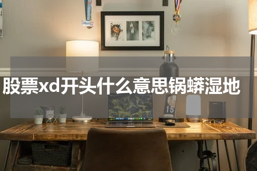 股票xd开头什么意思锅蟒湿地