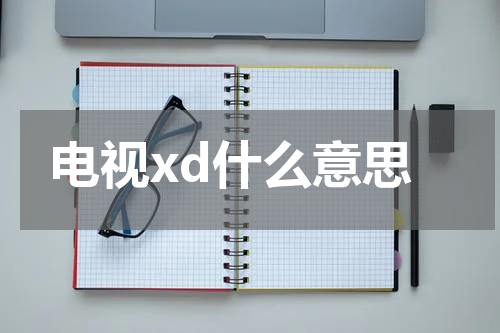 电视xd什么意思