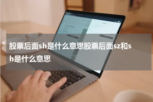 股票后面sh是什么意思股票后面sz和sh是什么意思