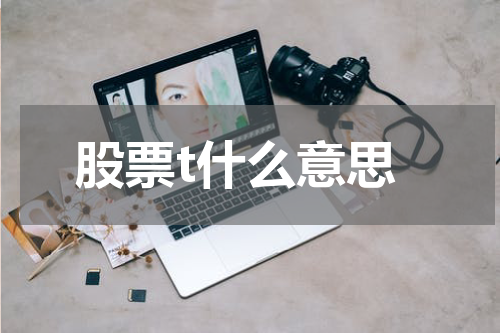 股票t什么意思
