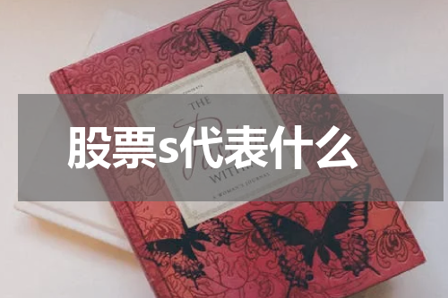 股票s代表什么