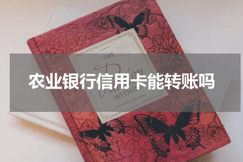 农业银行信用卡能转账吗