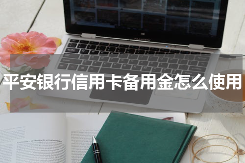 平安银行信用卡备用金怎么使用