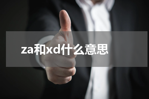 za和xd什么意思