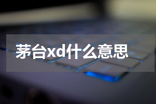 茅台xd什么意思