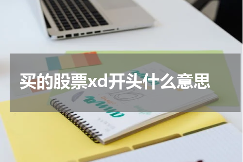 买的股票xd开头什么意思