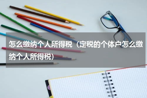 怎么缴纳个人所得税（定税的个体户怎么缴纳个人所得税）