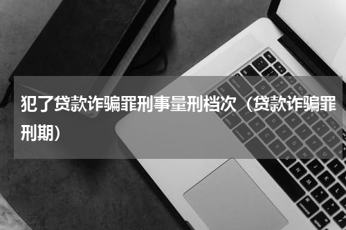 犯了贷款诈骗罪刑事量刑档次（贷款诈骗罪刑期）